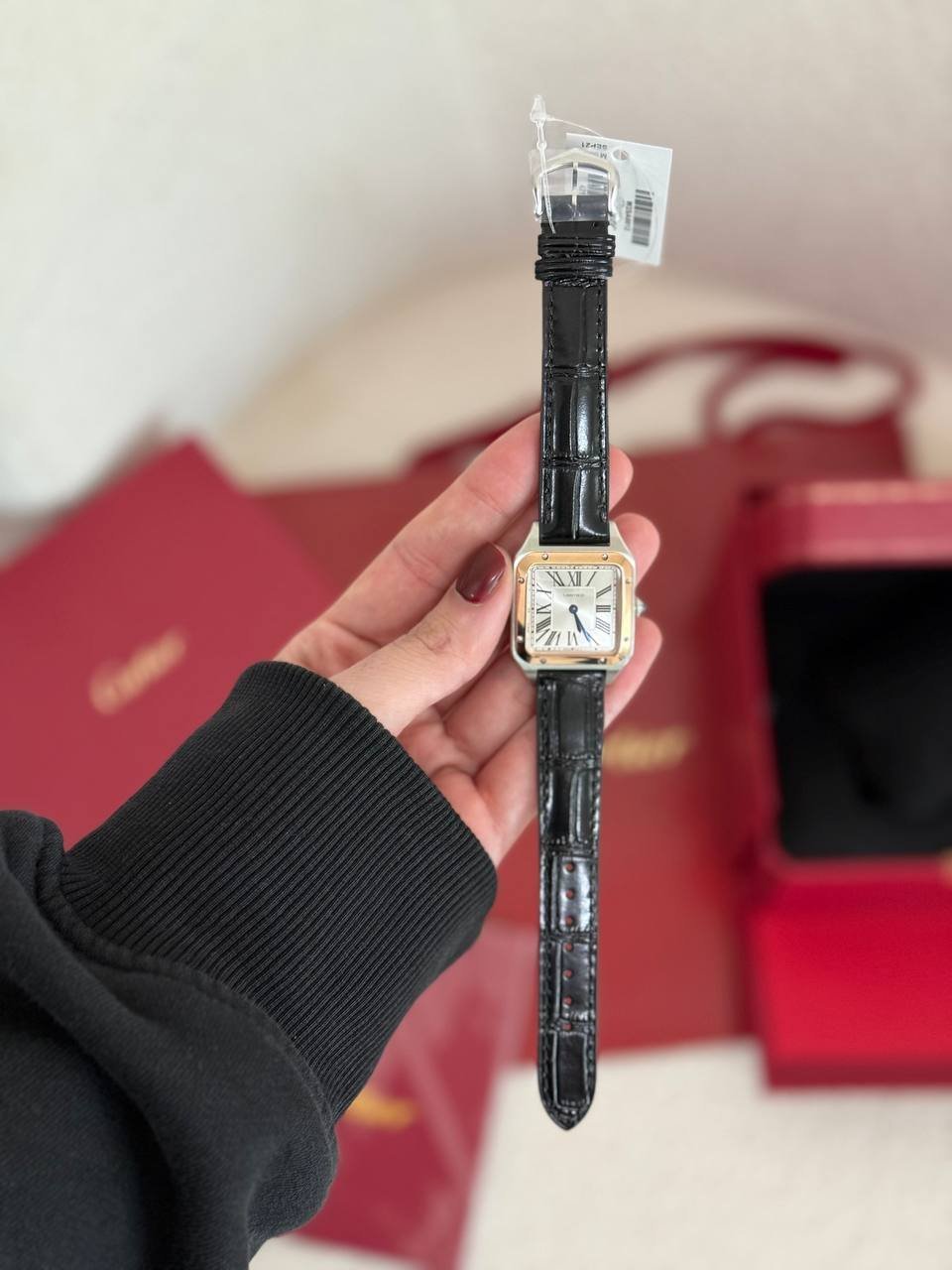 Cartier Watch 14