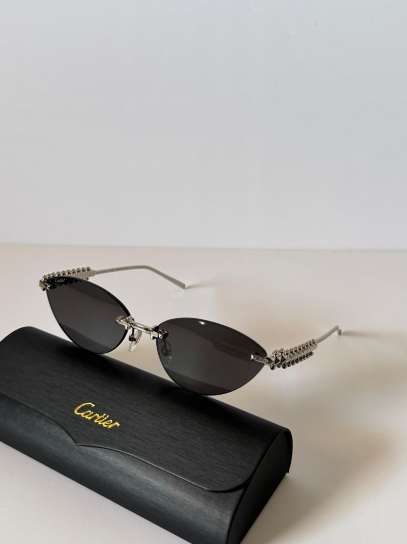 Sunglasses 045