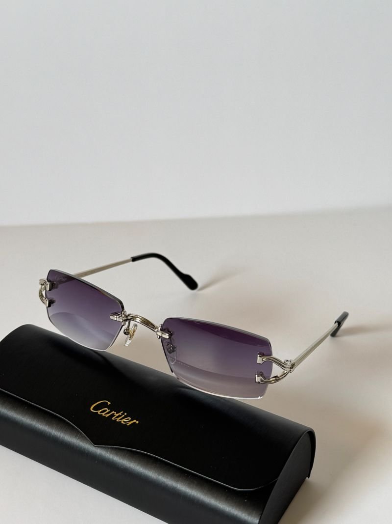 Sunglasses 106
