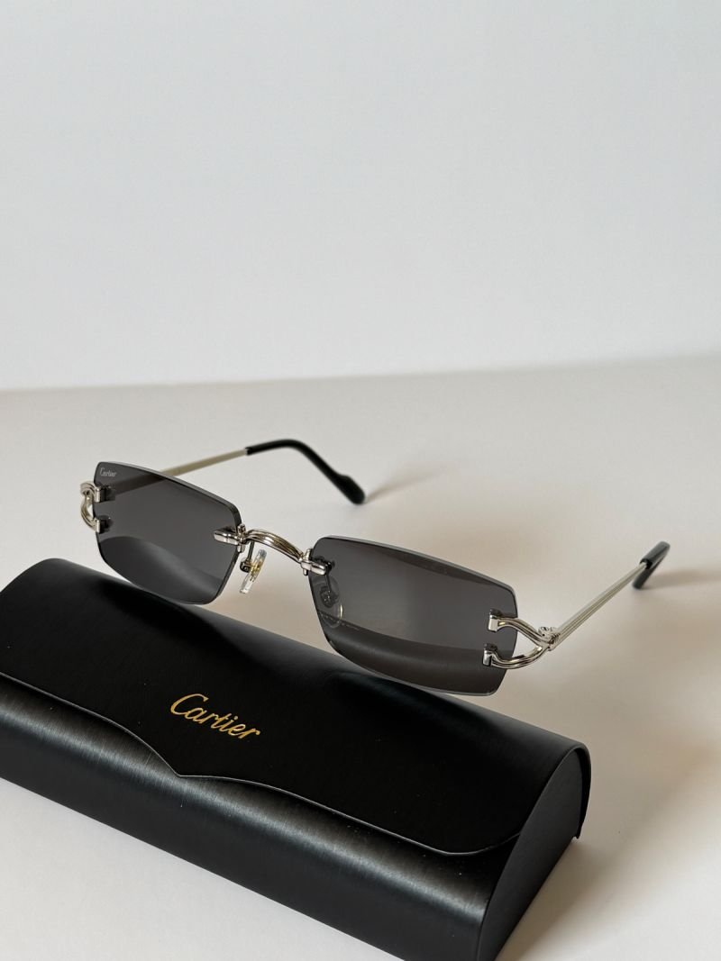 Sunglasses 106