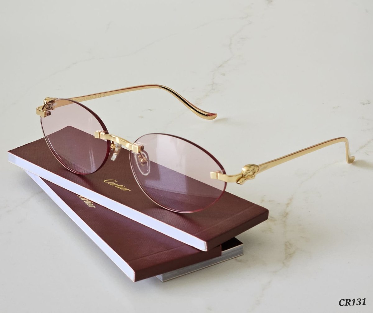 Sunglasses 193