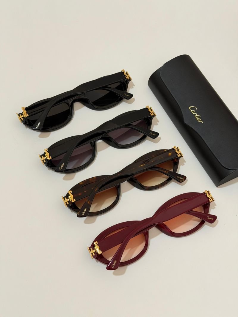 Sunglasses 385