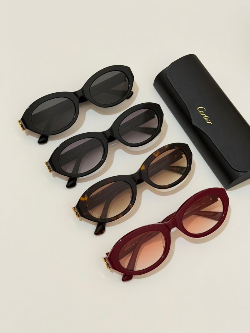Sunglasses 385