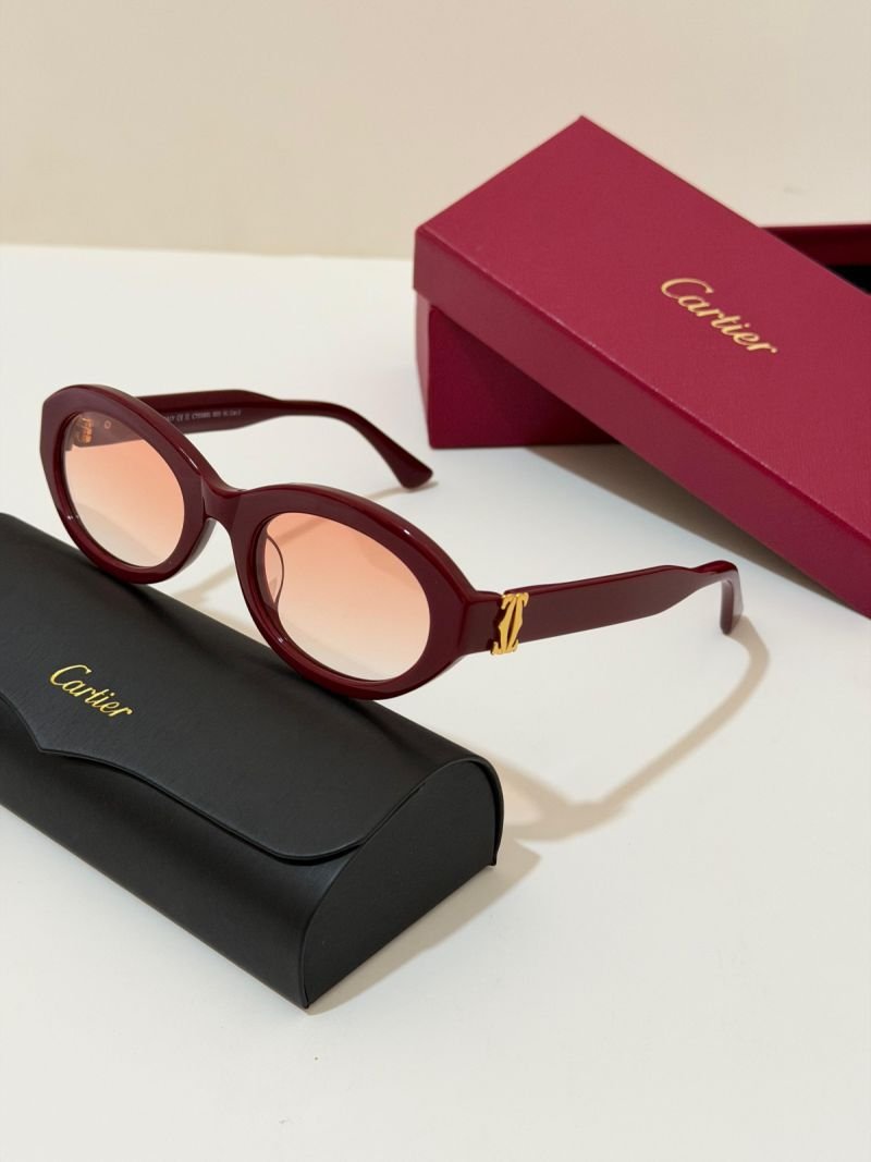 Sunglasses 388