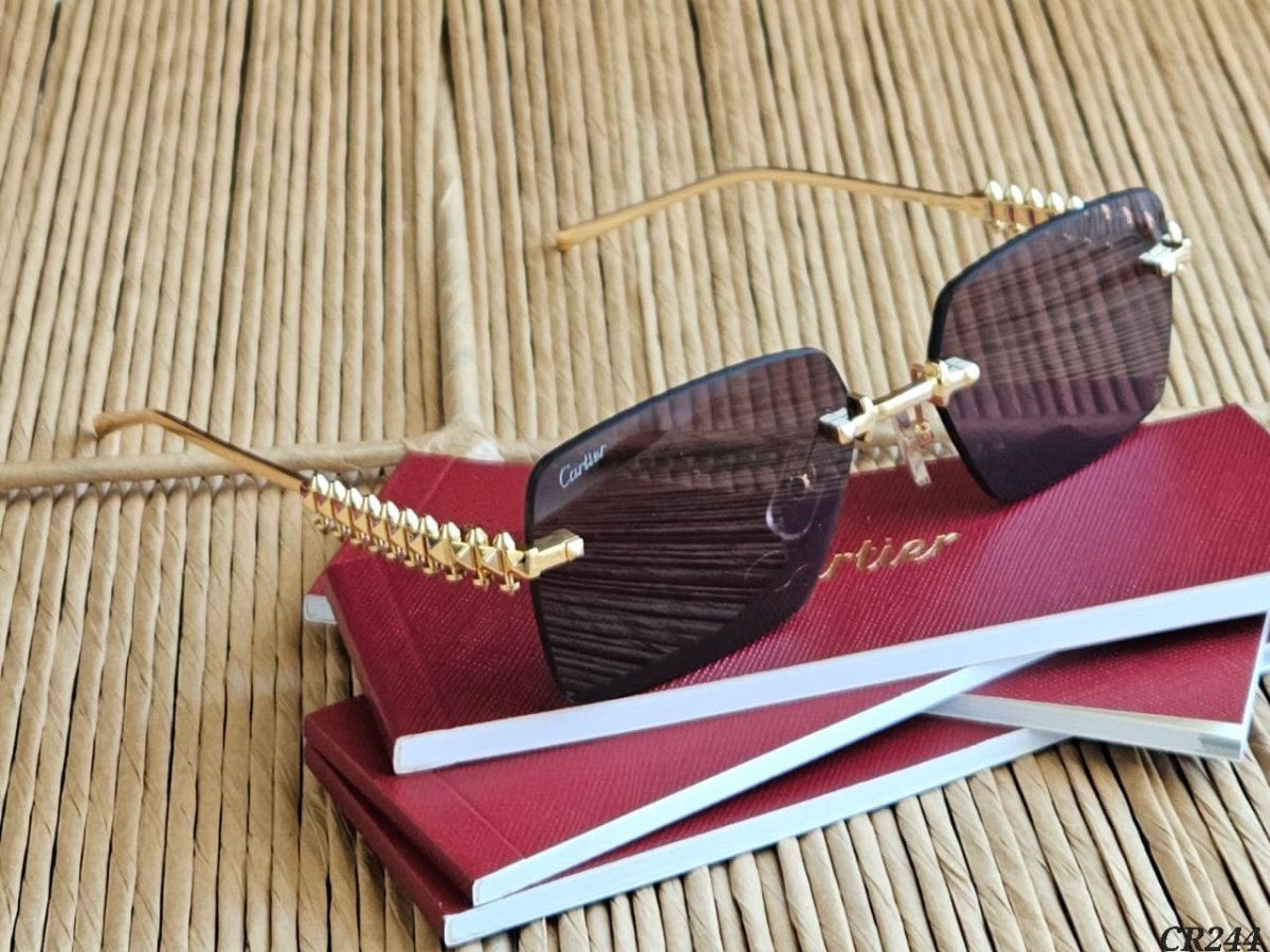 Sunglasses 401
