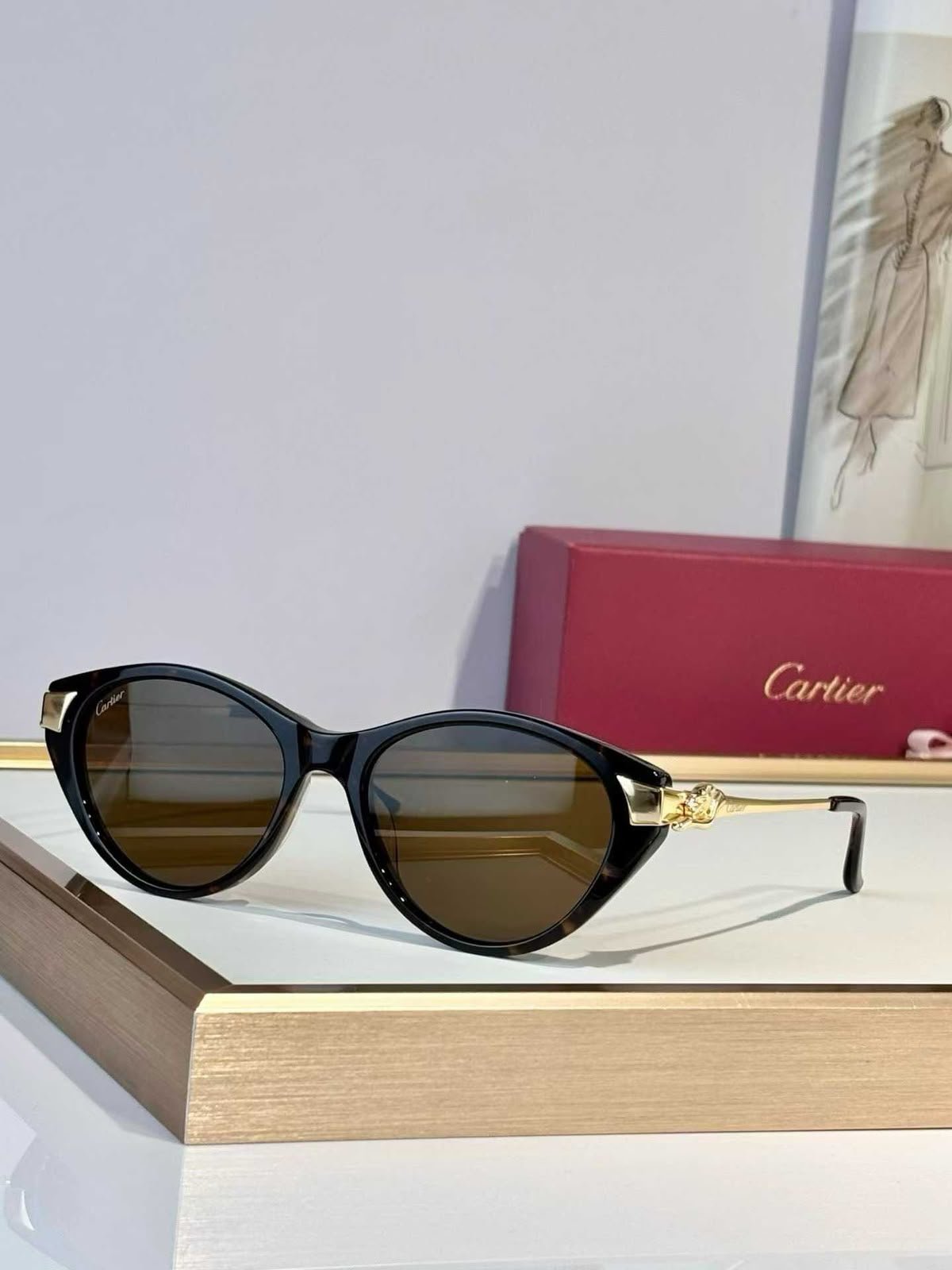 Sunglasses 450