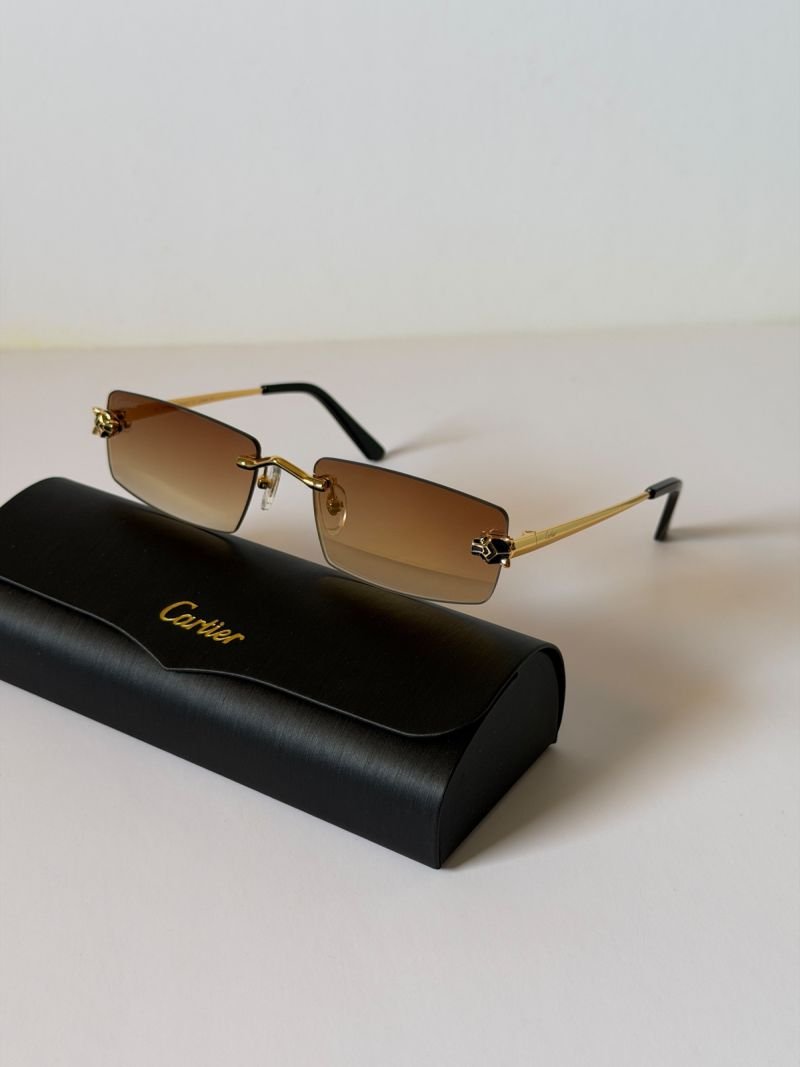 Sunglasses 474