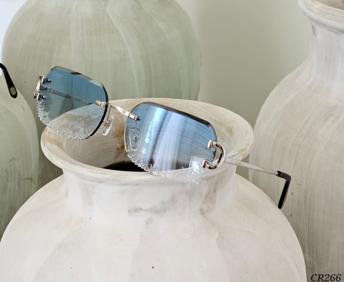 Sunglasses 500