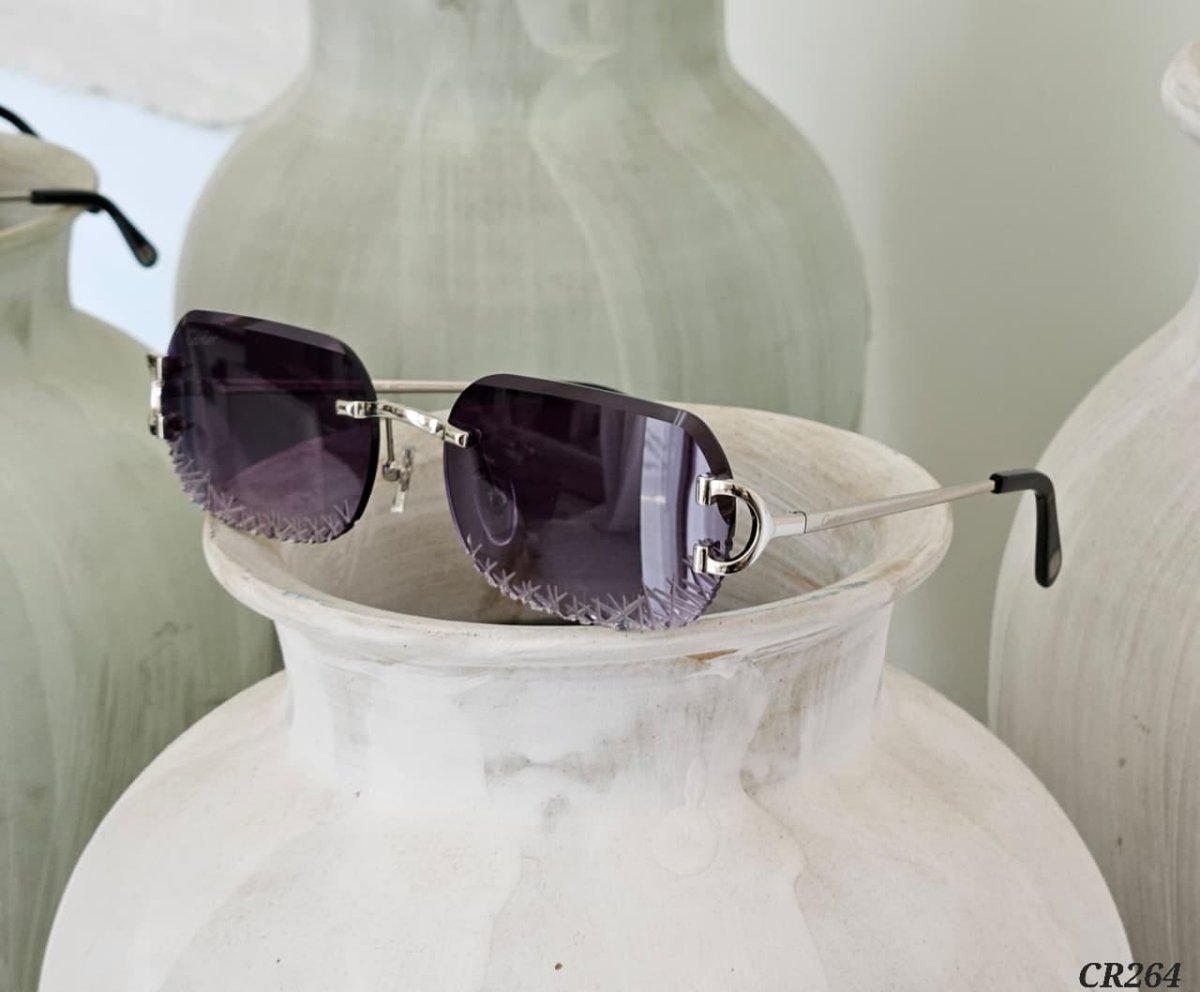 Sunglasses 498