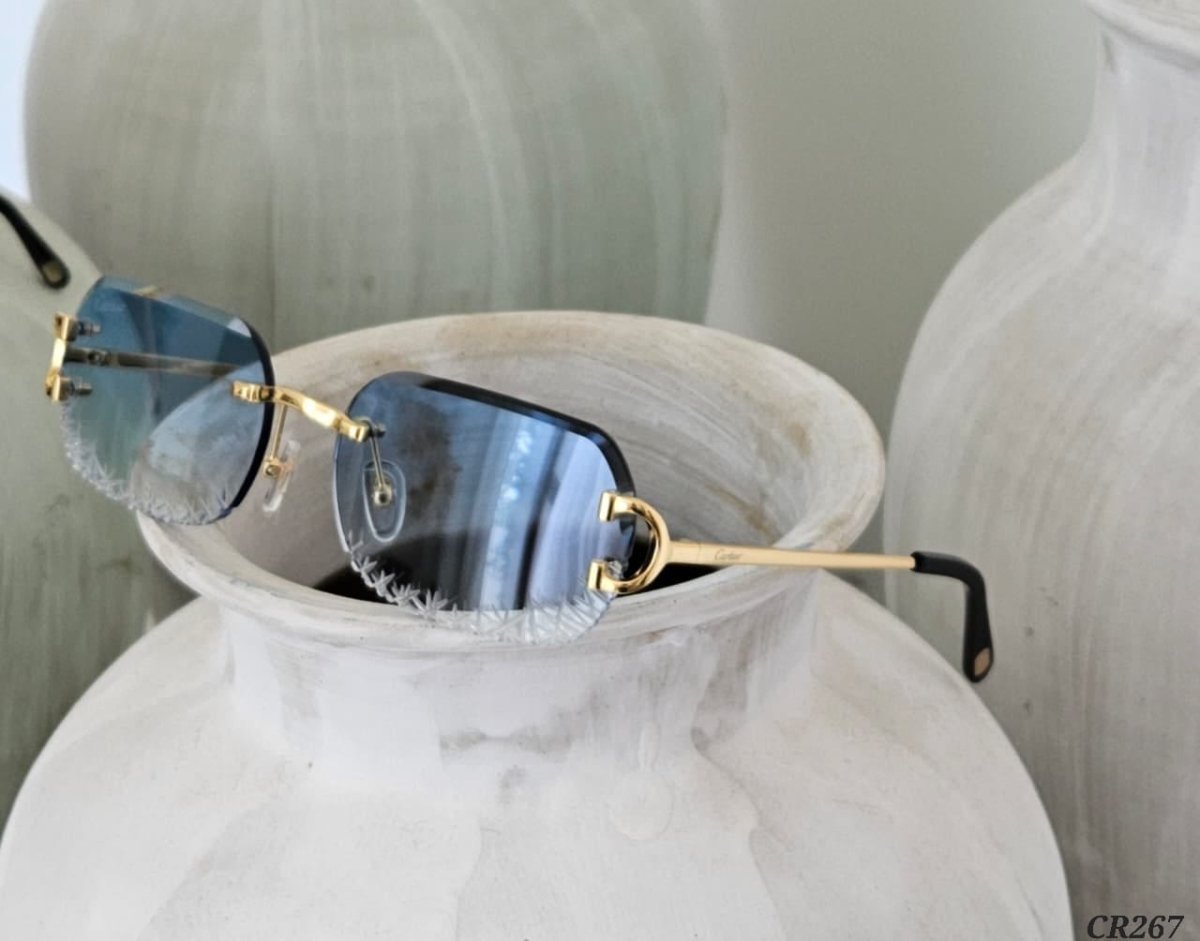 Sunglasses 501