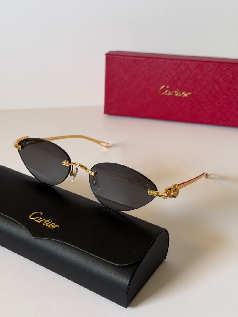 Sunglasses 550