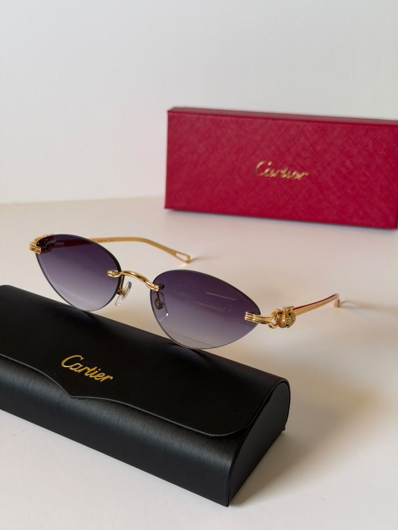 Sunglasses 550