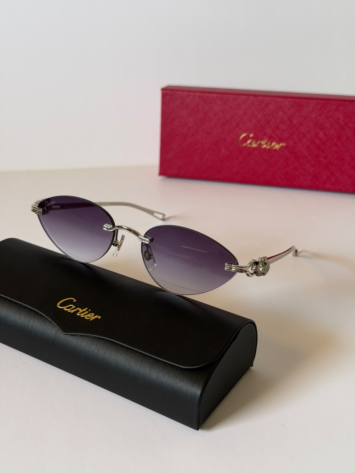 Sunglasses 551