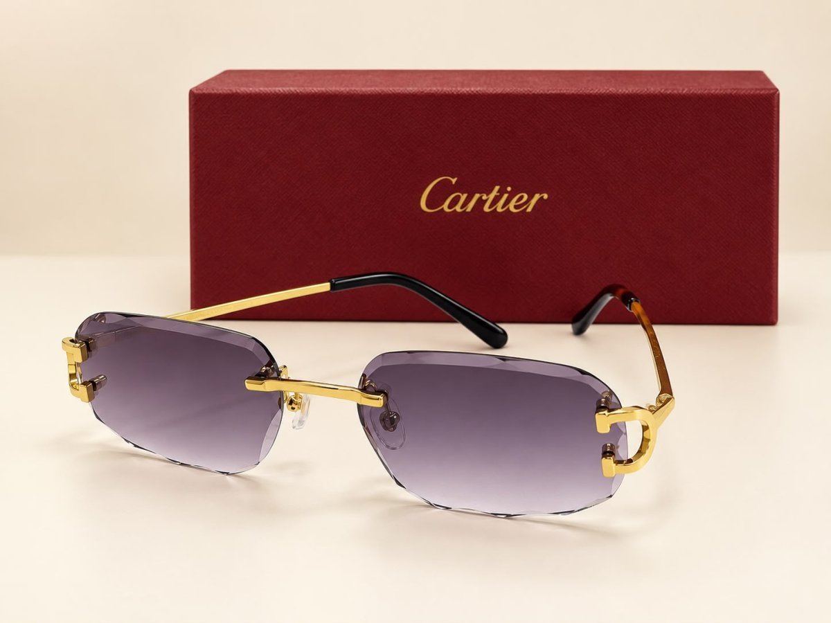 Sunglasses 555