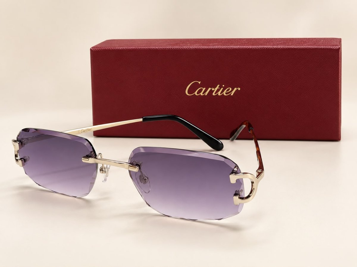Sunglasses 556