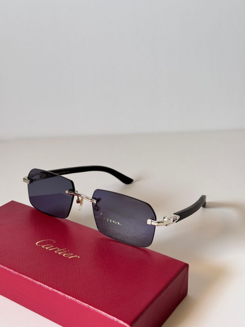 Sunglasses 005