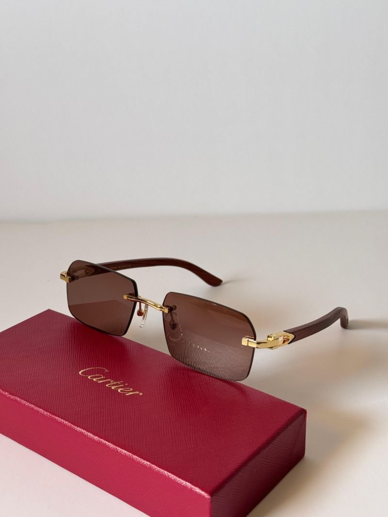 Sunglasses 005