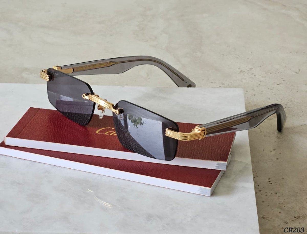 Sunglasses 088