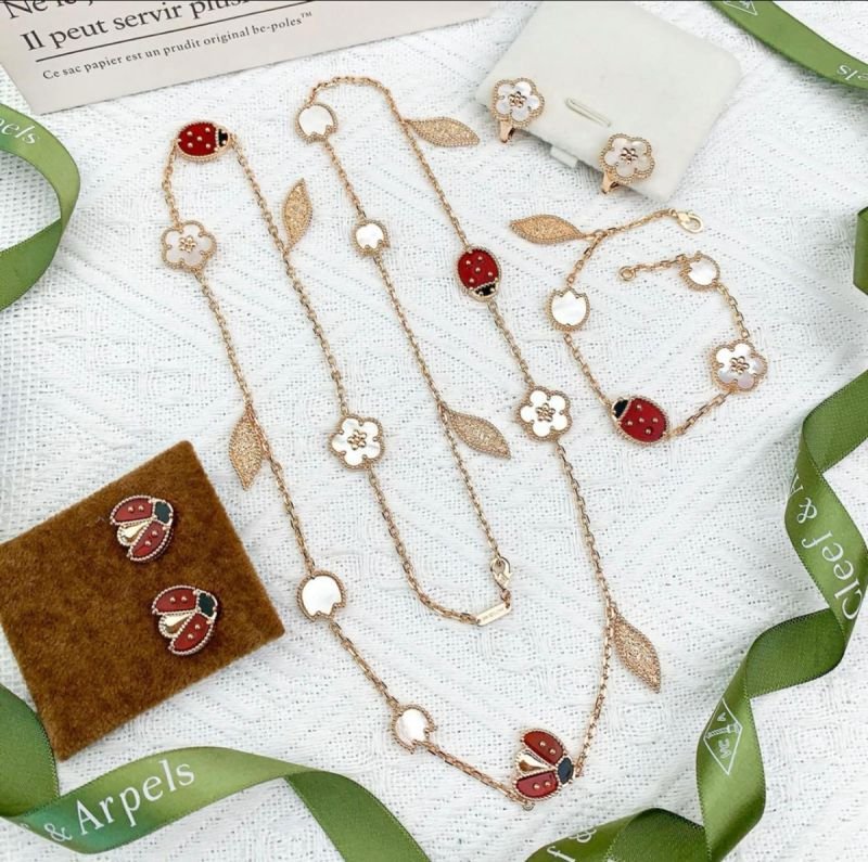 Accessory 220