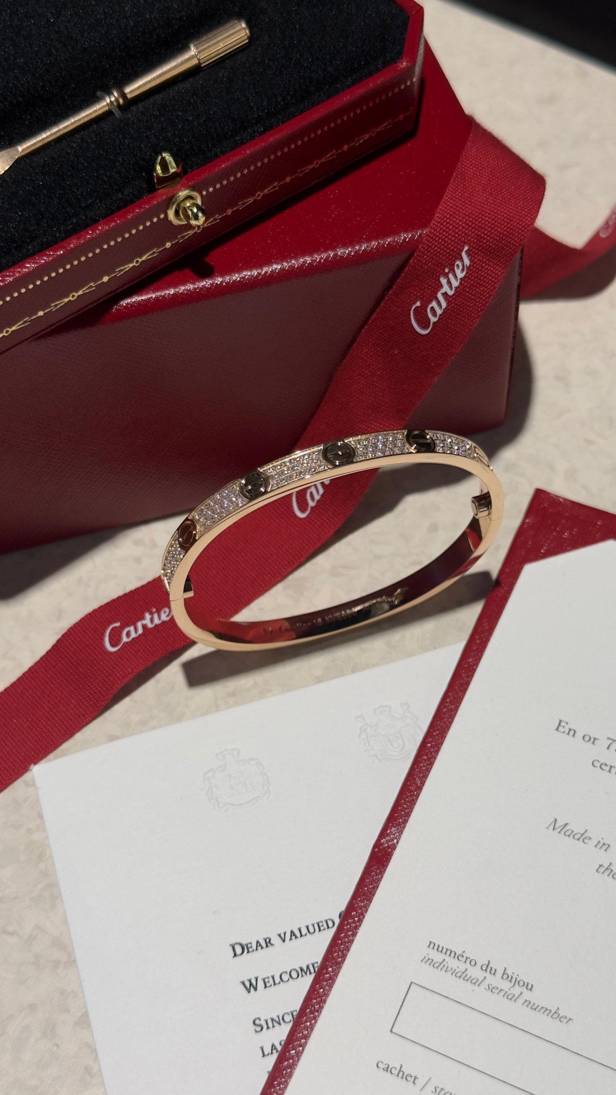 Accessory 249