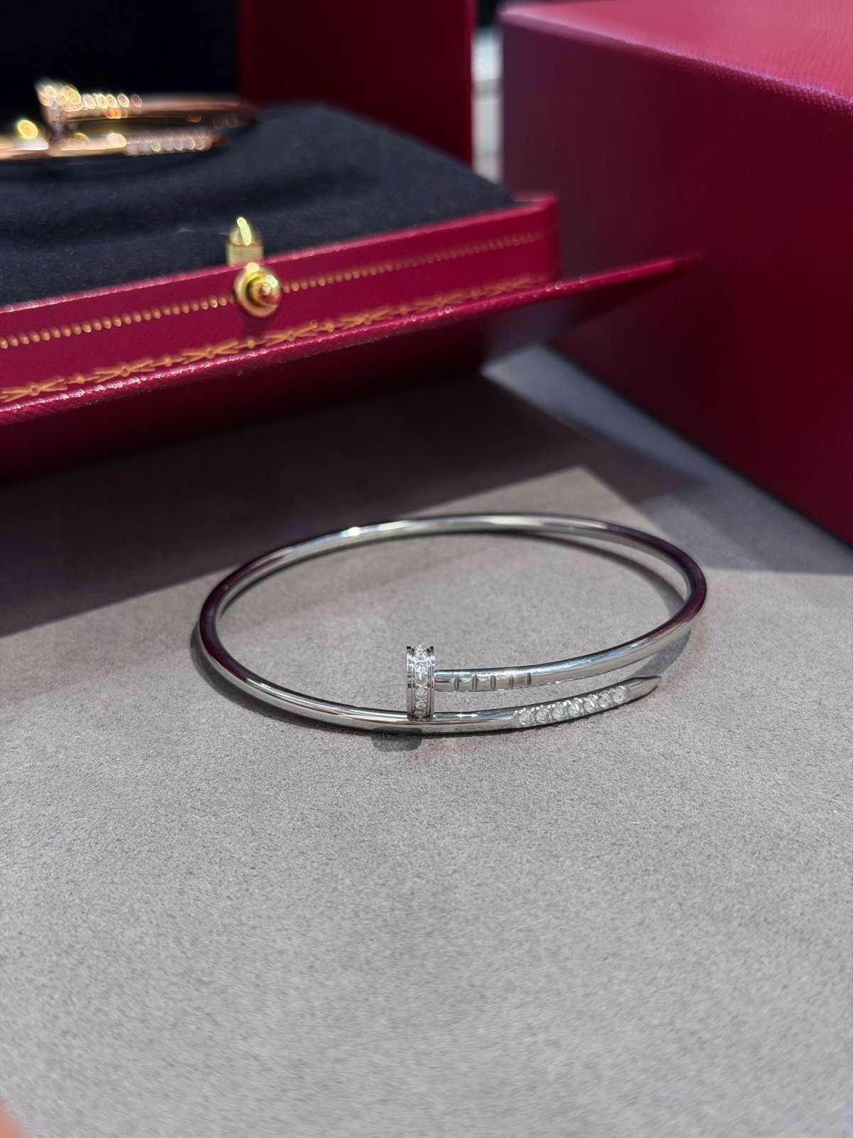 Accessory 459