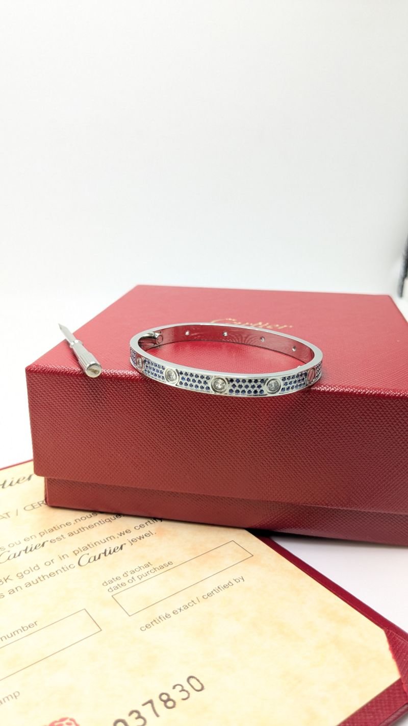 Accessory 495