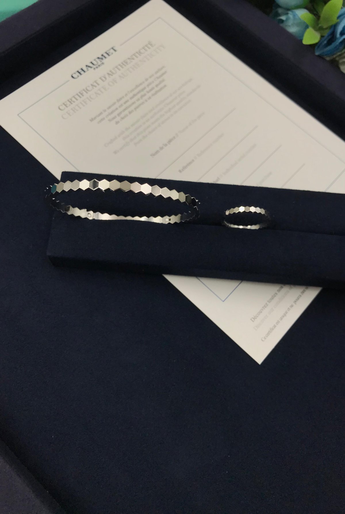 Accessory 499