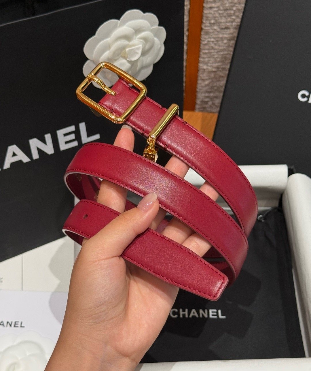 Belt 210